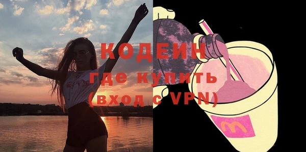 МДПВ Пересвет