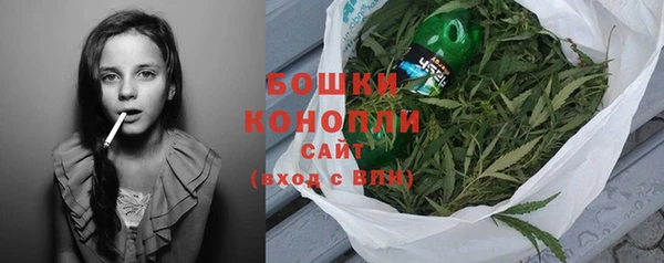 МДПВ Пересвет