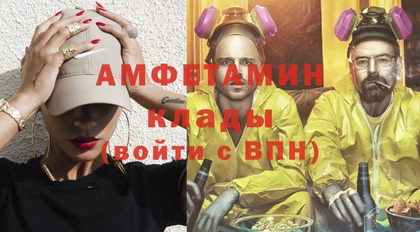 МДПВ Пересвет