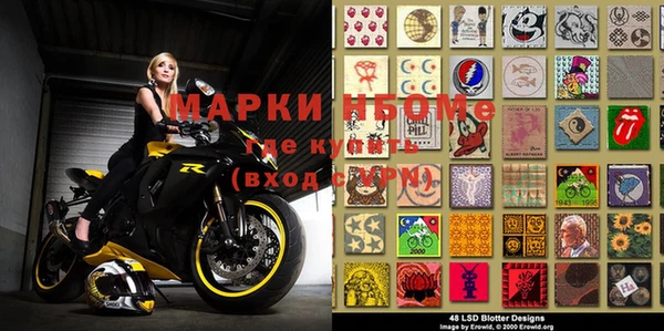 МДПВ Пересвет