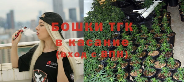 МДПВ Пересвет