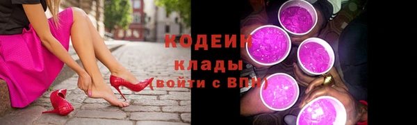 МДПВ Пересвет