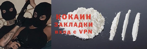 дживик Пестово