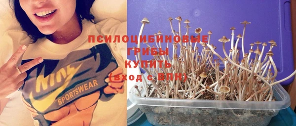дживик Пестово