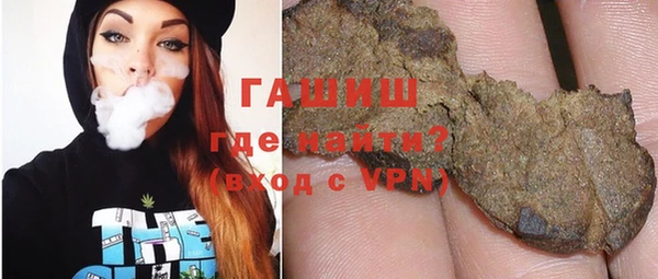 МДПВ Пересвет