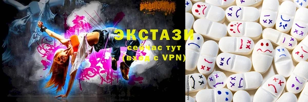 МДПВ Пересвет