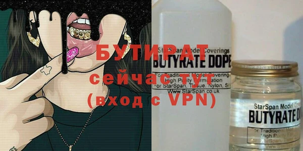 МДПВ Пересвет