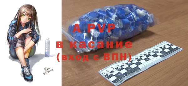 МДПВ Пересвет