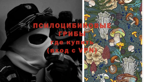 дживик Пестово
