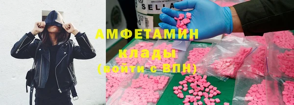 МДПВ Пересвет