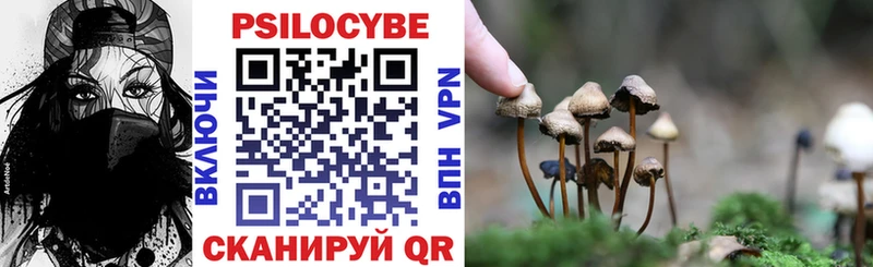 Купить закладки  Учалы  Псилоцибиновые грибы Magic Shrooms 